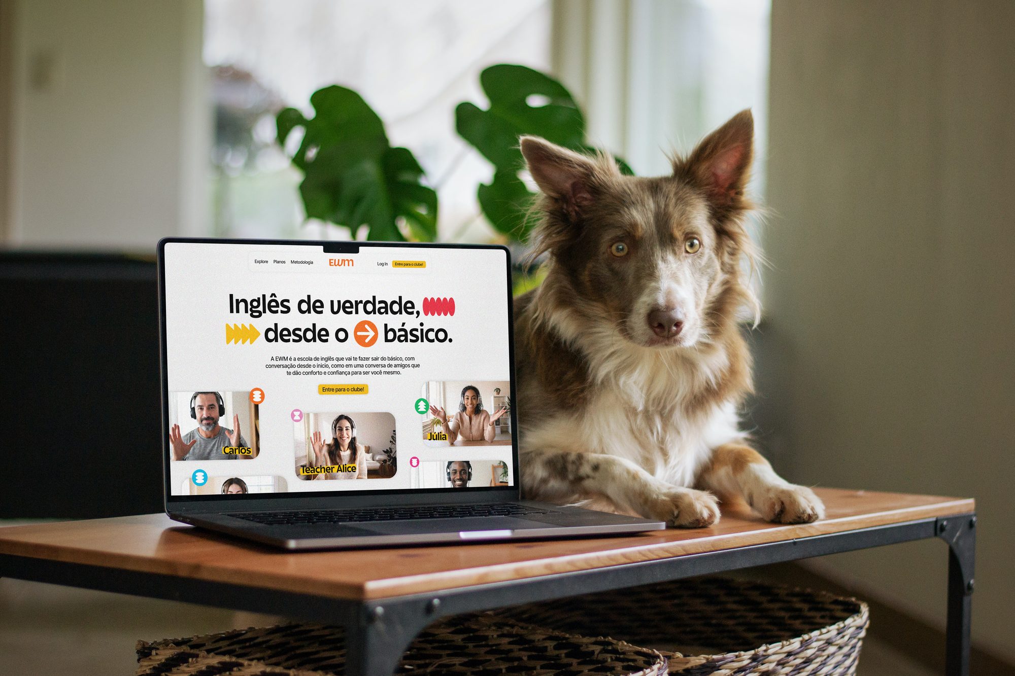 Site da EWM num notebook